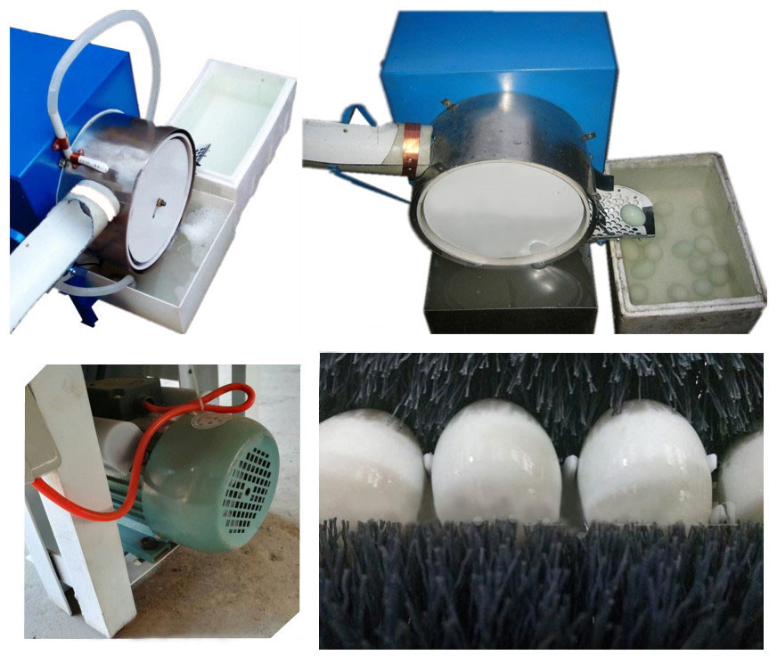 Stainless Steel Automatic Egg Washing Machine
