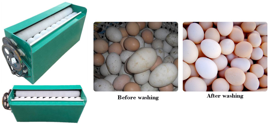 Small type egg cleaning machine