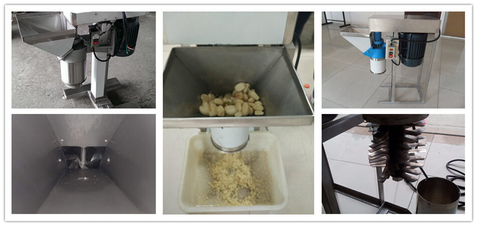 garlic paste machine working principle