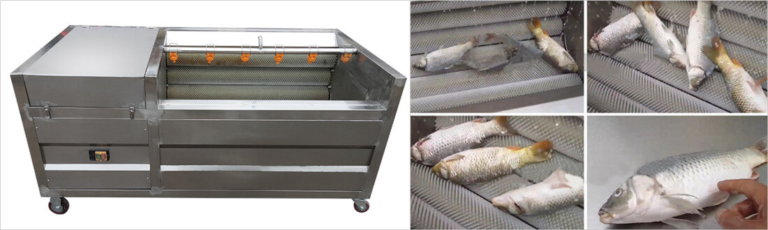 large capacity fish scaling machine
