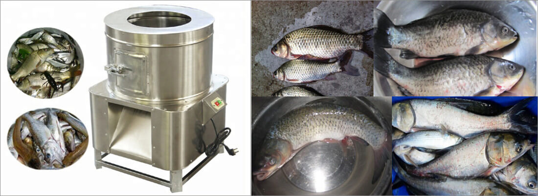 small capacity fish scaling machine