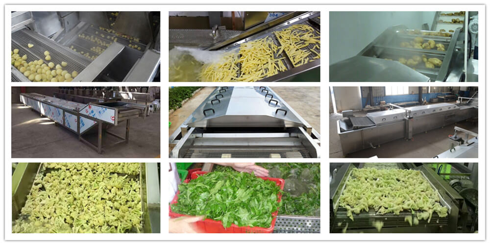vegetable blanching equipment