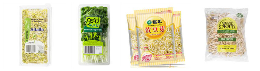 packed bean sprouts