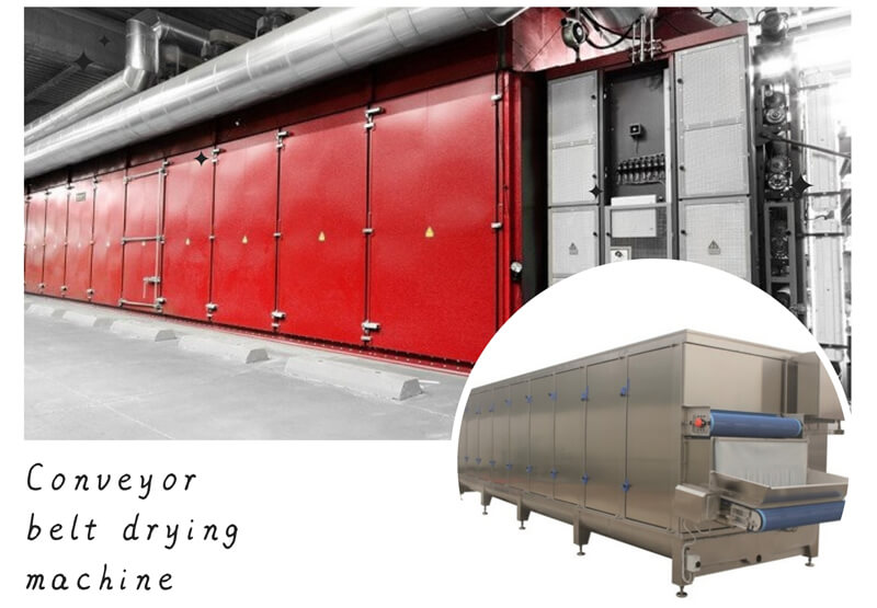 Buy Wholesale China Continuous Large Capacity Fruit & Vegetable Drying  Machine & Mesh Belt Dryer at USD 999