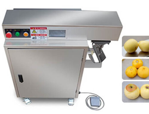 Persimmon Peeling Machine