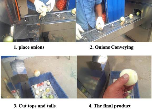Automatic Onion Root Cutting Machine for Removing Top and Ends